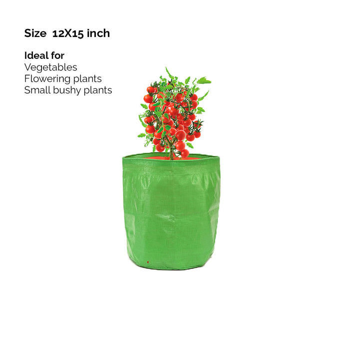 https://www.dailydump.org/cdn/shop/products/Green-GrowBags-15by12-ideal-text_693x.jpg?v=1675493863%201x,//www.dailydump.org/cdn/shop/products/Green-GrowBags-15by12-ideal-text_693x@2x.jpg?v=1675493863%202x