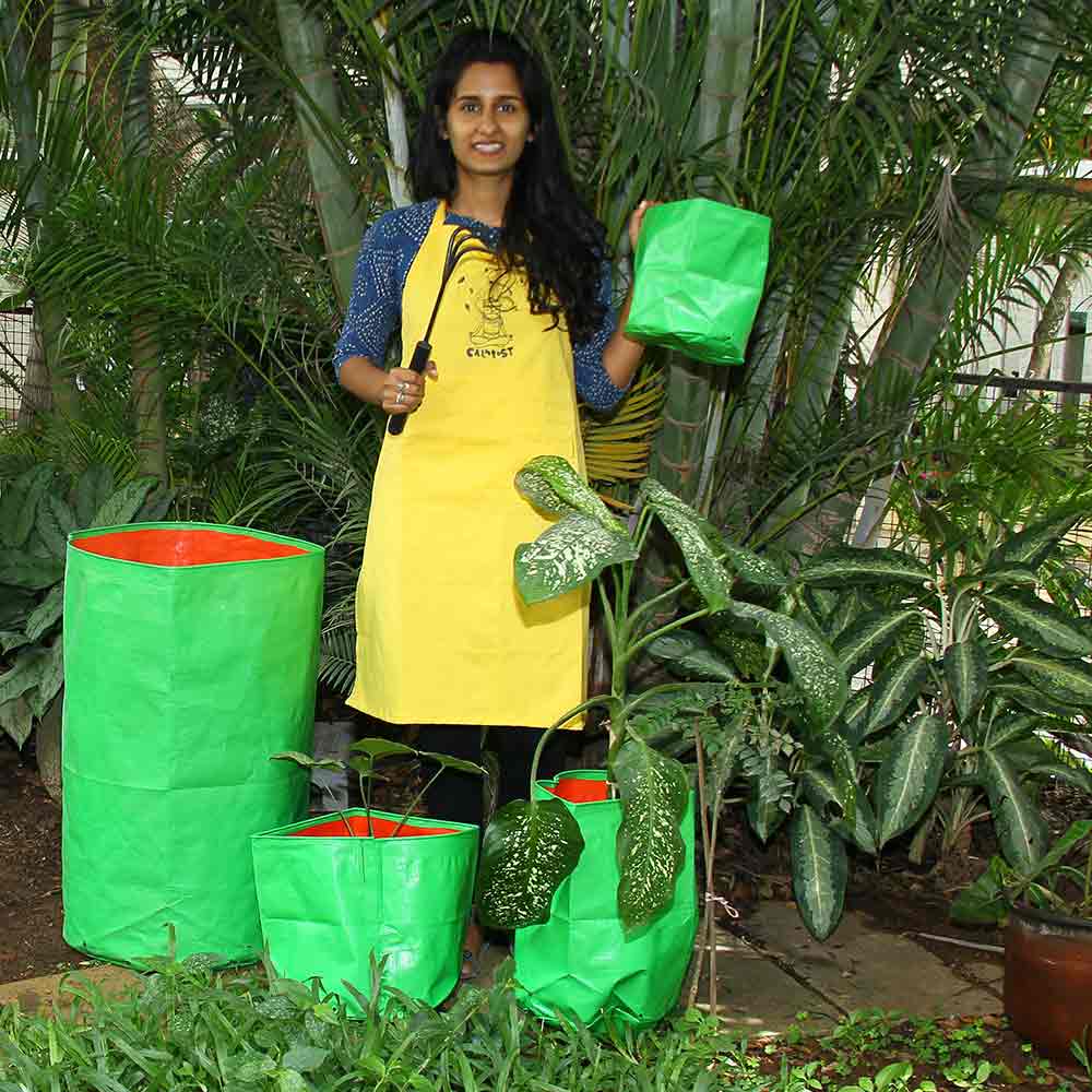 Order Grow bags for Fruits Plant-24